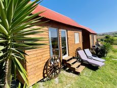 Tiny Houses